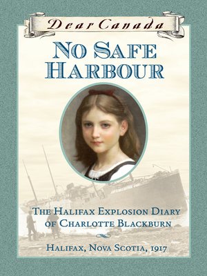 cover image of No Safe Harbour